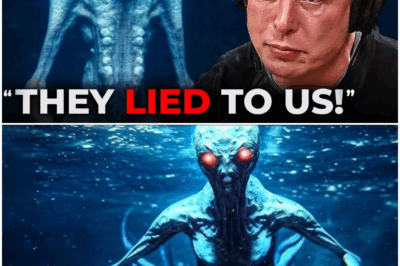 Elon Musk Tells Us What The Navy Saw While Diving in the Ocean