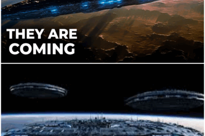 Oumuamua Suddenly Showed Up Again & Is Sending Signals To Earth!