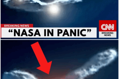ALERT: The mysterious object between earth and 3I/ATLAS! (C/2025 V1 BORISOV)