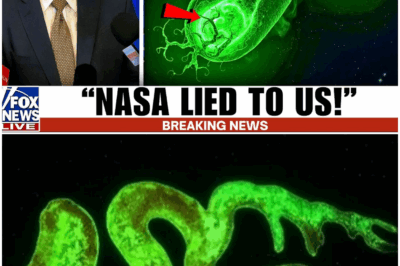 NEW Chinese IMAGES Show What NASA Left Over… and UN271 Blows the Door Wide Open