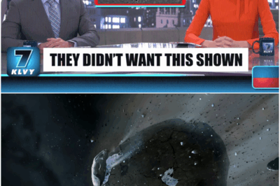 Fresh 3I/ATLAS Photos Just Dropped —And China Is Suspiciously Silent About What They Detected