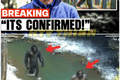 🦊 “Bryce Johnson BREAKS SILENCE: ‘Our Drone Captured the Terrifying Truth We’ve Been Chasing!’ — The Footage That’s Sending Shockwaves Through the Bigfoot Community 😱👣”