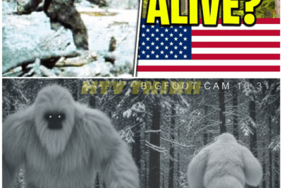 🦊 NO BS! SHOCKING NEW BIGFOOT FOOTAGE SURFACES — WHAT THEY CAUGHT ON CAMERA WILL HAUNT YOU FOREVER 😱🌲