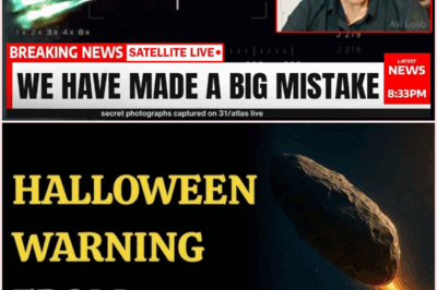 The Mysterious Surge of 3I/ATLAS: Is It a Cosmic Visitor or an Alien Craft?