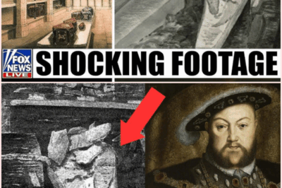 The Shocking Discovery Beneath Windsor Castle: King Henry VIII’s Tomb Revealed!