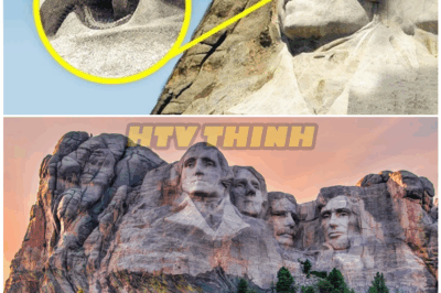 🦊 “Mount Rushmore Mystery: Engineers Unearth a Hidden Chamber That Could Rewrite American History — Secrets the National Park Tried to Bury 🏔️🕵️‍♂️”