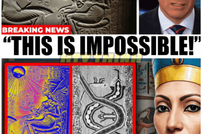 🦊 BREAKING: QUEEN NEFERTITI’S DNA FINALLY ANALYZED—THE TERRIFYING TRUTH THAT COULD REWRITE HISTORY 🏺