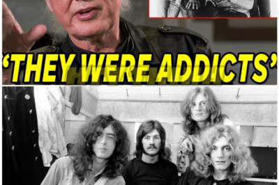 🦊 ROCK LEGEND SHOCKER: Jimmy Page FINALLY REVEALS What REALLY Happened With Led Zeppelin — Hidden Betrayals, Behind-The-Scenes Feuds, And The Moment That Nearly Tore The Band Apart ⚡