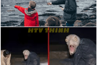 🦊 Top 10 REAL Mermaid Sightings Fishermen SWEAR Are 100% TRUE — Experts Left SPEECHLESS by What’s on These Tapes! 🌊🐚