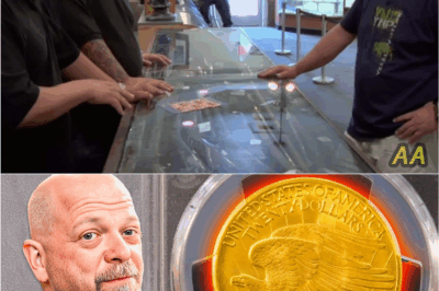 High Stakes, Huge Payday: How Rick Harrison Turned a Risky Pawn Stars Deal Into a Massive Profit