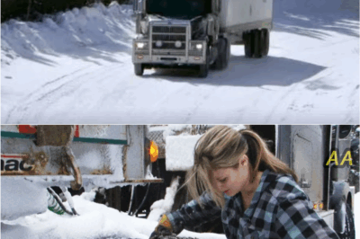 Inside the Final Season of Ice Road Truckers — Where Every Mile Could Be Their Last