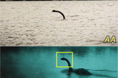 “90 Years of Mystery: What Scientists Just Found Beneath Loch Ness Changes Everything 🐉”