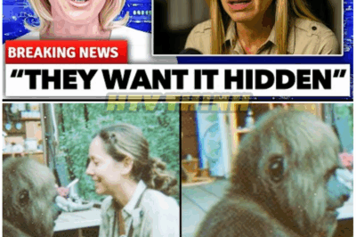 🦊 SHOCKING REVELATION: MIREYA MAYOR DROPS EVIDENCE OFFICIALS TRIED TO HIDE—THE TRUTH ABOUT THE WILDERNESS EXPOSED 🌲