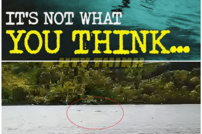 🦊 “After 90 Years, The Shockingly Final Chapter in the Loch Ness Monster Saga — The Hidden Proof That Changes Everything 🌊🔍”