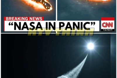 🦊 “James Webb Telescope Just Detected 3I/ATLAS Suddenly Changing Course – Scientists Warn It Could Be Heading Straight for Earth!” 🌍