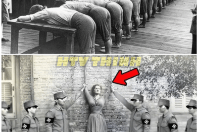 🦊 Shocking Nazi-Era Photo Reveals Terrifying Secrets — 80 Years Later, Experts Discover Details That Freeze the Blood! 🏛️🔥