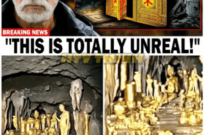 🦊 “BREAKING DISCOVERY: A Hidden Chamber Found on Oak Island — What They Found Inside Will CHANGE HISTORY FOREVER 😱💎”