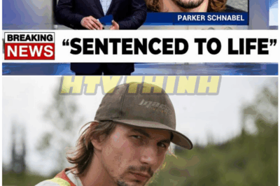 🦊 “Gold Rush Star Parker Schnabel’s Empire Crumbles: The Unthinkable Downfall of TV’s Golden Boy That No One Saw Coming 💰💔”