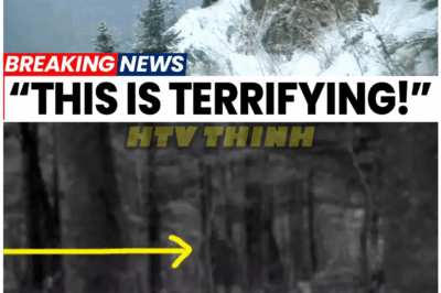 🦊 BREAKING: Expedition Bigfoot Researchers Release SECRET VIDEO — Experts Say It’s the Evidence We Were NEVER Supposed to See! 🌲⚡