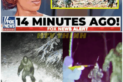 🦊 ALASKAN BIGFOOT SHOCKER: Elite Soldiers Reveal TERRIFYING Encounter in the Wilderness That Nobody Was Meant to Know 👣🔥