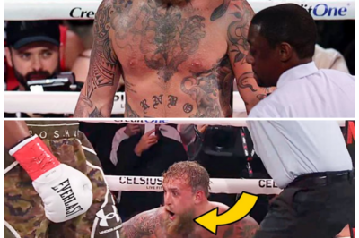 🐘 Shocking Injury: Jake Paul’s JAW BROKEN by Anthony Joshua – Medical Explanation! 💥 “A fight gone wrong has serious implications!” Jake Paul is left stunned after suffering a broken jaw from Anthony Joshua’s knockout punch. In this segment, a doctor explains the nature of the injury, its potential effects, and what it could mean for Paul’s future in the ring. What’s next for him after this setback? Join us as we explore the medical insights! 👇