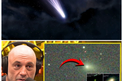 🐘 1 MINUTE AGO: 3I/ATLAS New Images CONFIRM Same Directional Structure! 📈 “Breaking news in the world of data analysis!” Just released, the latest images from the 3I/ATLAS project have confirmed the same directional structure as previous findings. What does this mean for ongoing research and future developments? Join us as we explore the implications of these new images! 👇