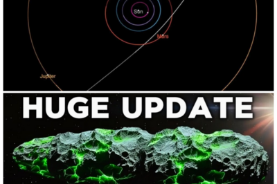 🐘 “The Cosmic Enigma: Why 3I/ATLAS is Breaking All the Rules of Astronomy!” 🔭 In a stunning twist, 3I/ATLAS is exhibiting behaviors that are baffling astronomers and igniting a frenzy of speculation about what this means for our understanding of the universe. “In the dance of celestial bodies, the unexpected often takes center stage!” 👇