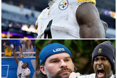 🐘 “‘I’m Coming for You, DK!’: Lions Fan PUNCHED by Metcalf Holds Unforgettable Press Conference! 💣🏈” “In a jaw-dropping press conference, the Lions fan who was punched by DK Metcalf made headlines by putting the star player ‘on notice’ with a series of bizarre statements!” His unusual take on the incident has captured the interest of sports fans everywhere. What did he say that has everyone buzzing? Join us as we unpack this unforgettable press conference! 👇