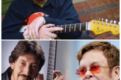 🐘 “A Timeless Tribute: Elton John Remembers Chris Rea’s Musical Genius! 💔 In a heartfelt tribute, Elton John has expressed his deep admiration for Chris Rea, calling him an “honest and timeless voice of the street.” “In a world full of trends, he was a classic!” As the music world pays its respects, Elton’s tribute shines a light on the profound influence Rea had on countless artists and fans alike. Dive into the emotional stories that highlight the legacy of this unforgettable musician! 👇