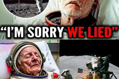 1 MINUTE AGO: NEIL ARMSTRONG FINALLY CONFIRMS WHAT WE ALWAYS SUSPECTED…