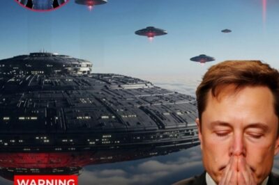 Global Panic Erupts as Unidentified Mega-Object Appears in Earth Orbit — Emergency Broadcasts Interrupt Live News