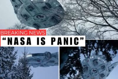SHOCKING WINTER ENCOUNTER: Multiple Witnesses Report a Mysterious UFO H0vering Above Snow-Covered Forests