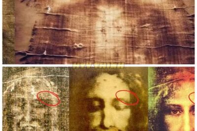 Pilate’s Letter Describes Jesus’ Skin Color and Face in Shocking Detail — The Truth is More Surprising Than You Think 💥 A newly uncovered letter from Pontius Pilate has revealed the startling truth about Jesus’ appearance, describing his skin color and face in ways that go against centuries of traditional depictions. This explosive document challenges everything we thought we knew about the historical figure of Jesus. The truth is far more shocking and enlightening than we could have imagined. Prepare for the unexpected. 👇