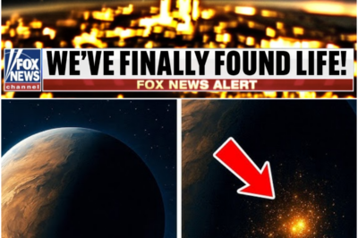 James Webb Telescope Finally Found It 7 Trillion Miles Away!