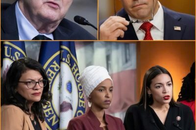 MEMBERS OF CONGRESS ARE NEXT IN LINE FOR POSSIBLE REMOVAL, AND WASHINGTON IMMEDIATELY DESCENDED INTO A NIGHT OF UNPRECEDENTED CHAOS.