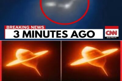 Voyager 2 Just Turned Back — And What It Discovered Has STOPPED THE WORLD Cold