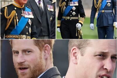 “The Palace Lied to Protect William — But Never Us”: Prince Harry’s Explosive Allegation Ignites a New Royal Firestorm