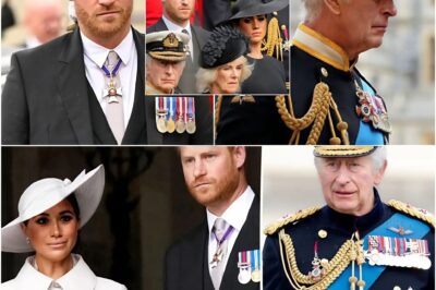 After Everything They Caused — Harry and Meghan Demand an Apology from the Royal Family… and They’re Furious They Still Haven’t Got One