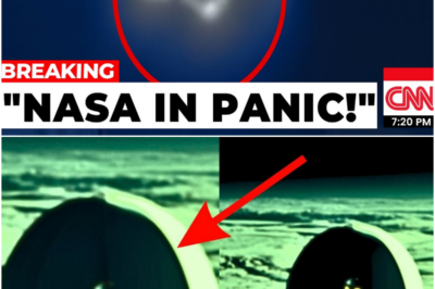 Voyager 2 just turned back and what it discovered JUST STOPPED THE WORLD