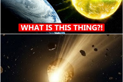 Interstellar Visitor 3I/ATLAS Glows Gold as It Approaches Earth, Scientists Brace for Unpredictable Turn