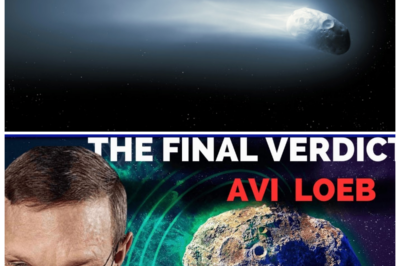 🐘 What Is 3I/ATLAS? Avi Loeb Explains the Revolutionary Project Set to Change Our View of the Universe! 🌠 In a captivating exploration, Avi Loeb explains 3I/ATLAS, a revolutionary project aimed at unraveling the mysteries of the cosmos. “This initiative is about more than just observation; it’s about redefining our place in the universe,” he asserts, as he delves into the project’s ambitious goals and groundbreaking technologies. Prepare to be inspired by the possibilities that 3I/ATLAS offers for future discoveries in astronomy!👇