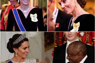 Princess Catherine’s Dazzling State Dinner Moment: The Glittering Gown, the $85 Million Necklace, and the Silent Message That Shocked the World