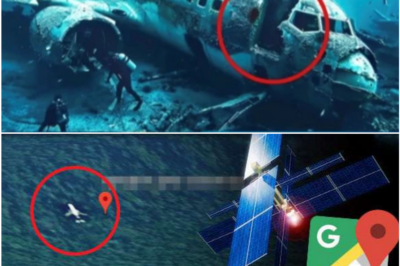 AI Rewrites the MH370 Mystery: A Final Flight Path No One Thought Possible