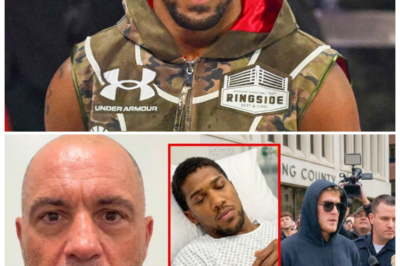 🐘 Joe Rogan Outraged: Calls for Jake Paul to Be Jailed for Life After Joshua Incident! ⚡ “Following a serious accident involving Anthony Joshua, Joe Rogan has made headlines by demanding that Jake Paul face life imprisonment!” The boxing world is abuzz with reactions to Rogan’s incendiary remarks. What evidence has surfaced regarding the incident, and what are the potential consequences for those involved? 👇