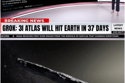 Grok 4 Predicts 3I/ATLAS May Hit Earth!