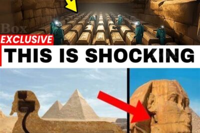 BREAKING NEWS: Hidden Chamber Discovered Beneath the Great Sphinx — Seismic Scans Reveal a Massive Sealed Room That Could Rewrite Human History 😱🏺