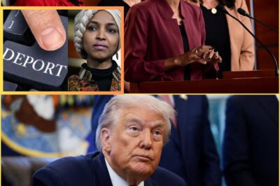 Nationwide Debate Erupts After T-r-u-m-p Announces End to Special Protections for Somali Migrants; Rep. Ilhan Omar Responds Forcefully