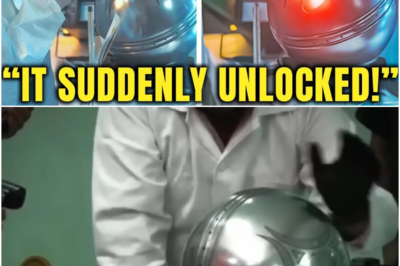 MIT Physicist Reviews Grok 4’s Buga Sphere Model — The Energy Spike Is Real