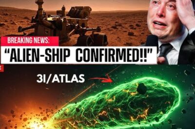 BREAKING: Scientists Confirm 3I/ATLAS Is Not a Comet — It’s Alive, Shaped Like a Grotesque Cosmic Pig Brain, Emitting Signals from Deep Space and Accelerating Toward Earth — Elon Musk Breaks Down: “We May Be Too Late… The Pig Brain Will Rule Humanity!”