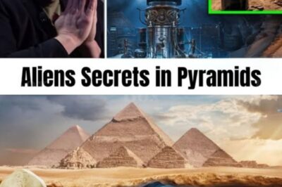 “This is insane…” ELON MUSK CONFIRMS THE SHOCKING TRUTH: The pyramids were never tombs — but portals built by an ancient civilization beyond anything we understand.